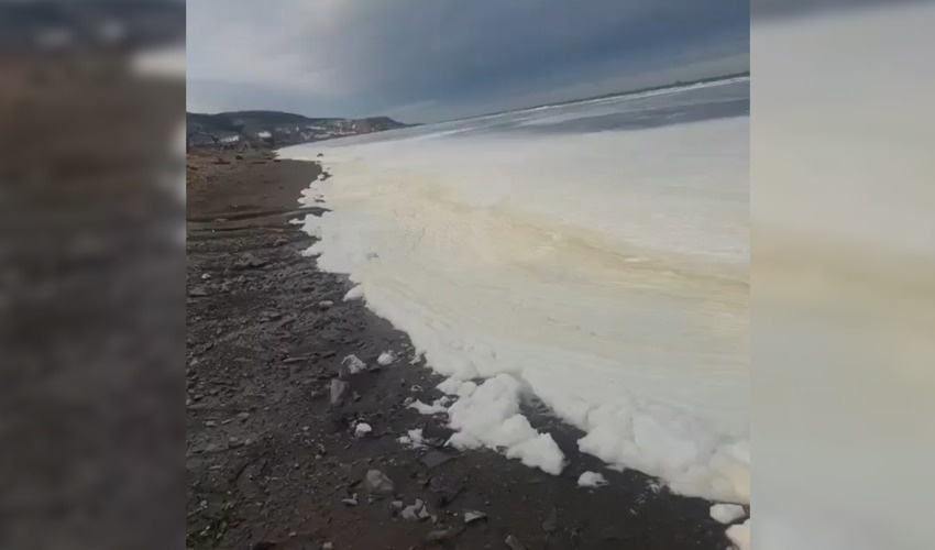 Кадр из видео: Instagram @rybalkasakhalin