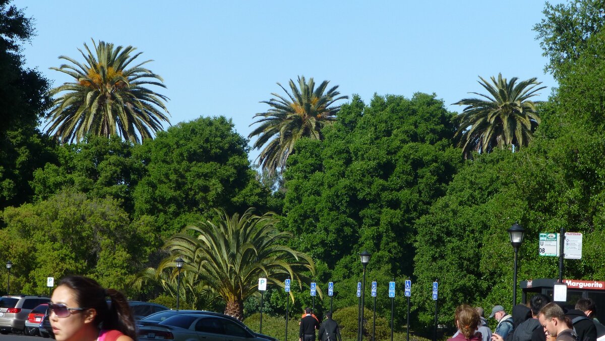 Дорога в Стэнфорд