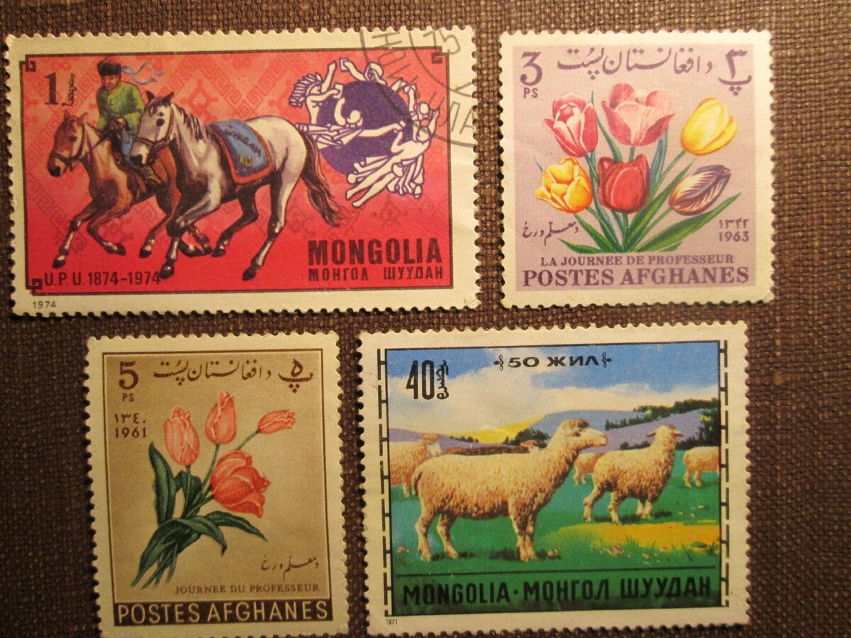 Фото из личной коллекции автора