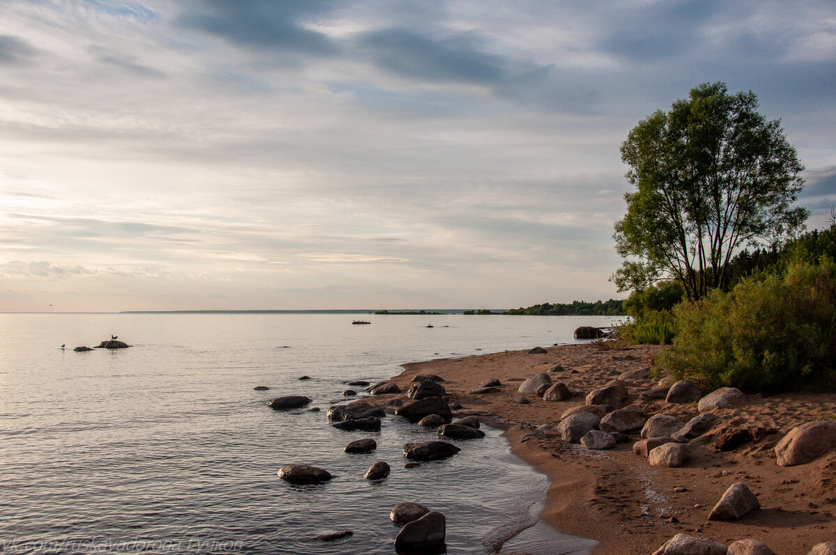 Михальково Рыбинское водохранилище