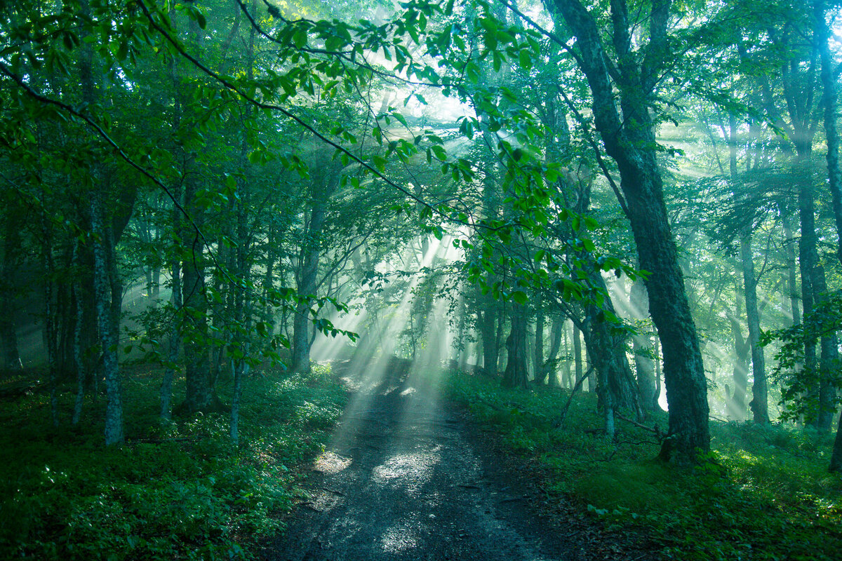 Как будто картинки из игры