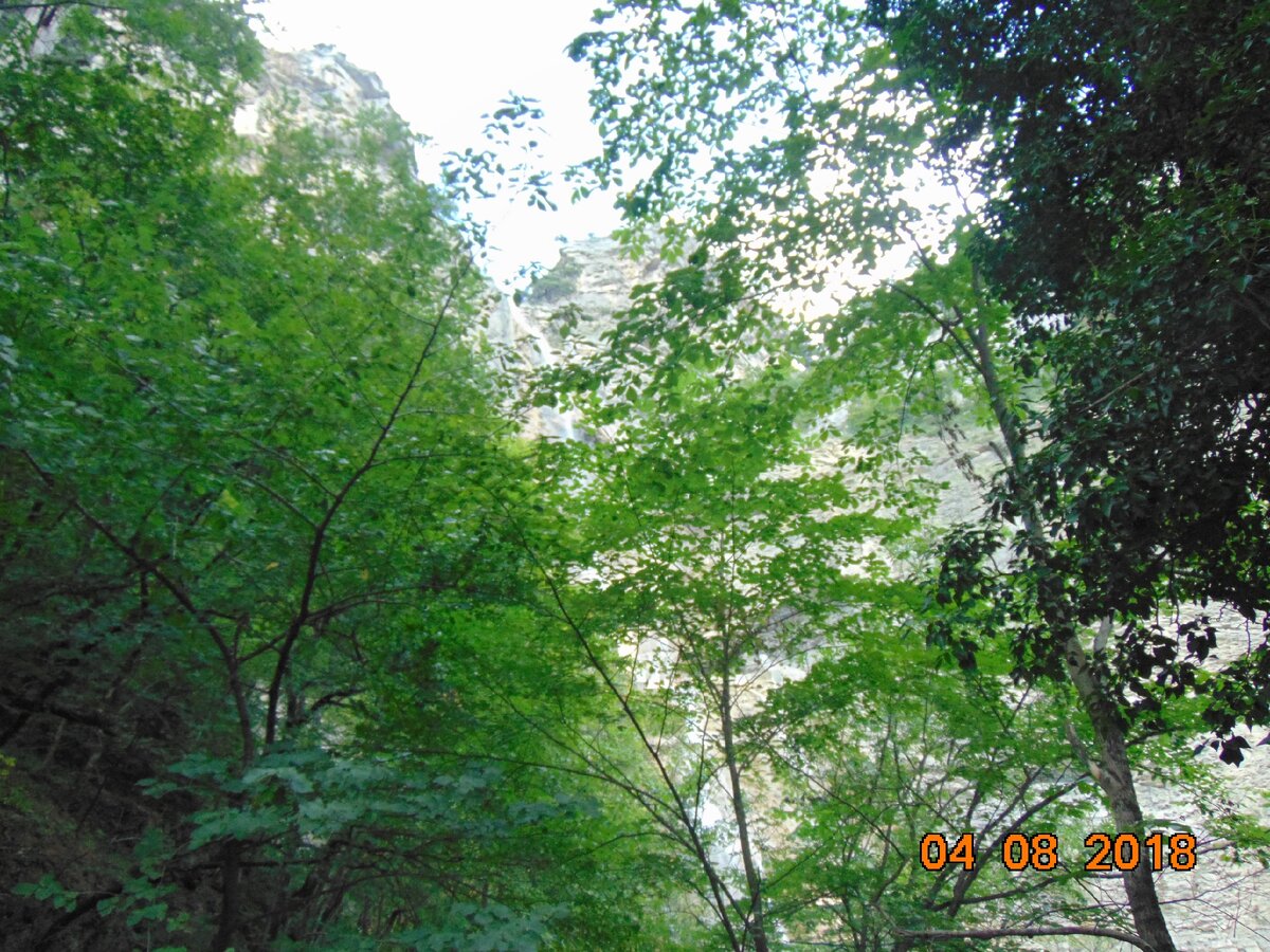 Около водопада вот такая красивая зелень