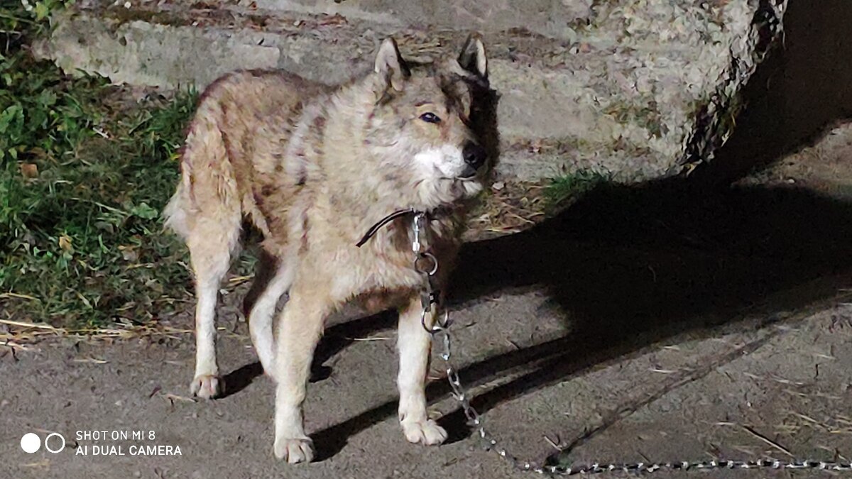 И очень брутальный