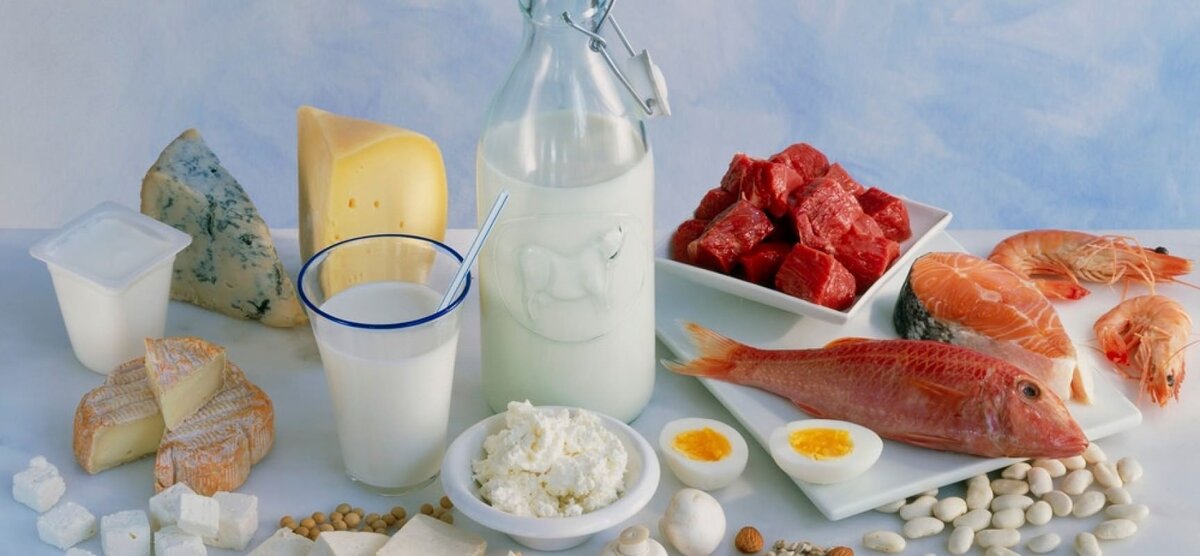 Белковая диета на 4 недели