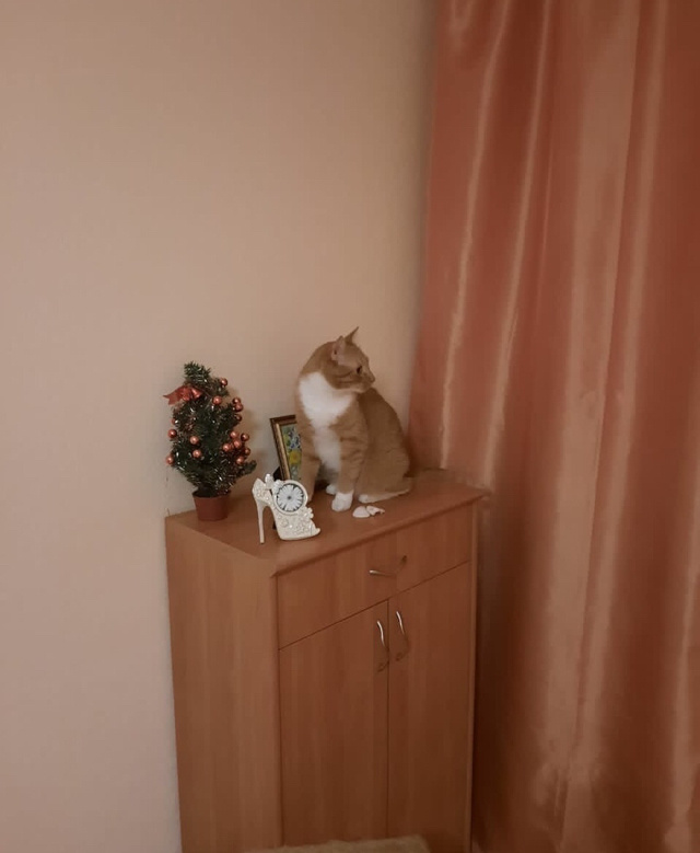 -2