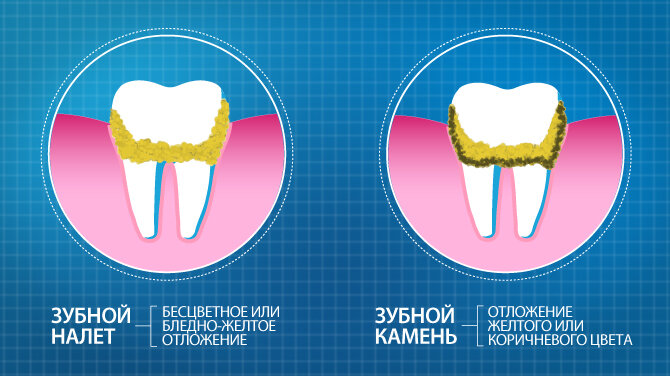 Фото взято из Яндекс картинки