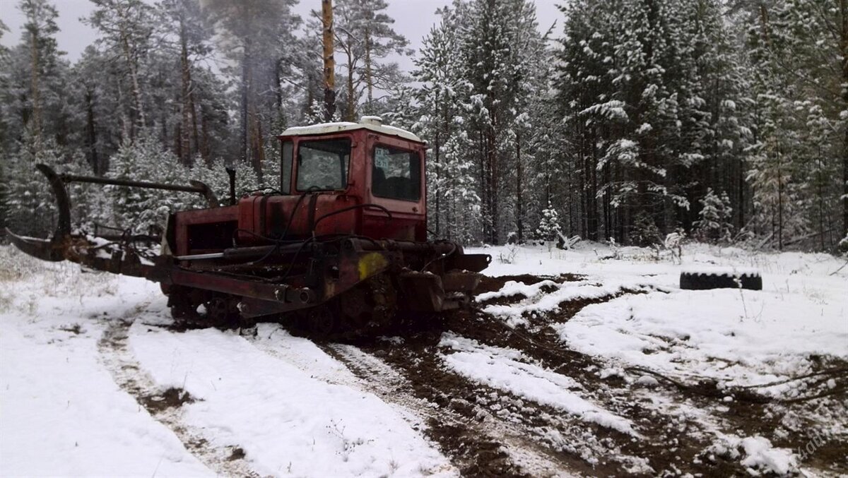 Д т зимнее. ДТ 75 трелевочник леса. Трактор ДТ 75 трелевочник. ДТ-75 трактор в лесу. ДТ-75 трактор зимой.