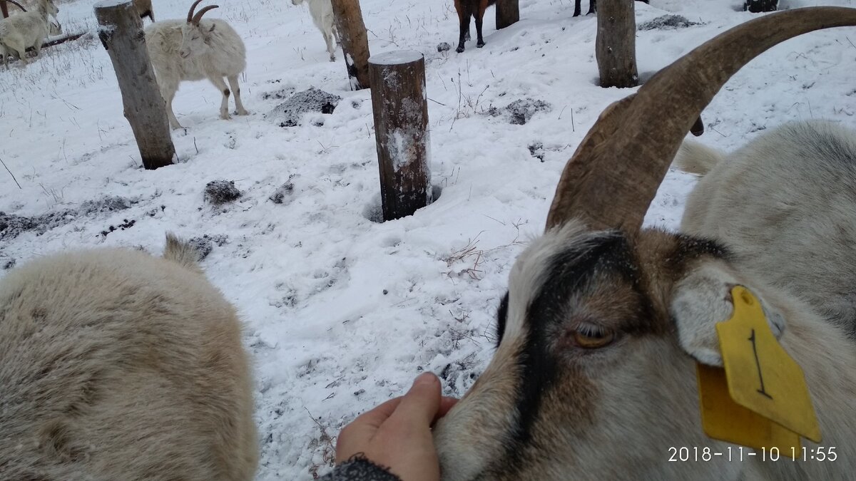 Помогают строить сушилку для иван-чая