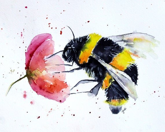 Пчела Жужжа. Источник: https://www.etsy.com/uk/listing/533926442/bumble-bee-and-flower-watercolor-print
