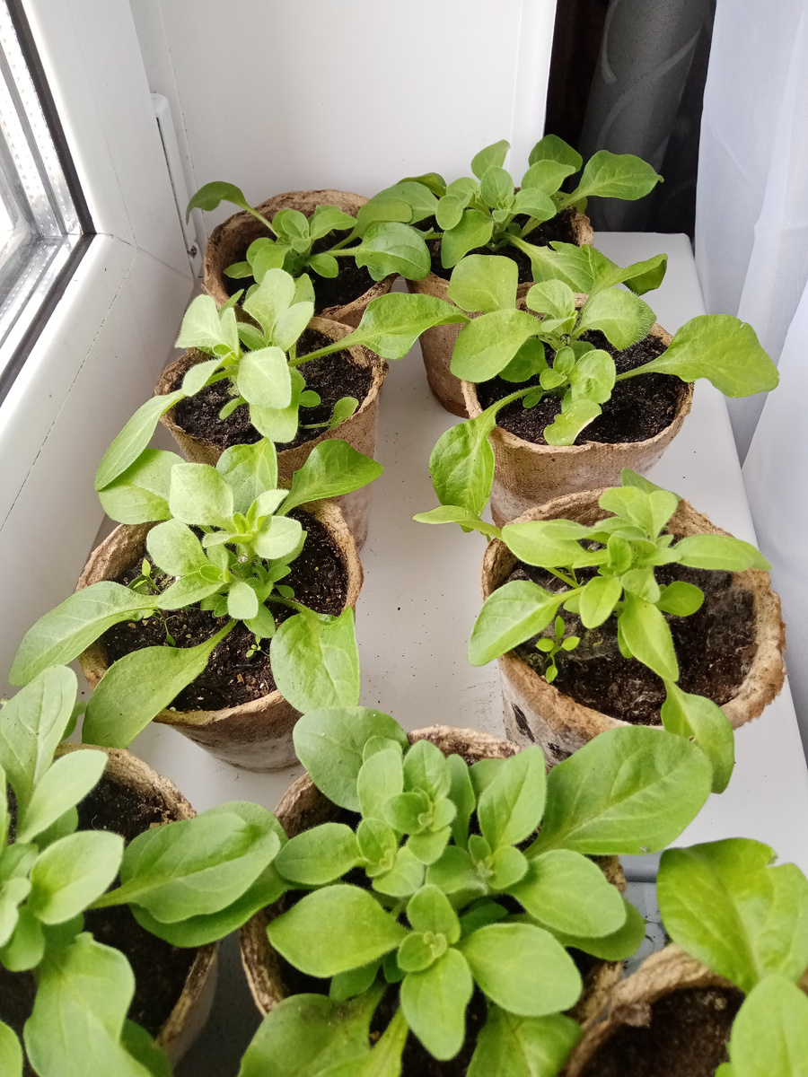 Фото личное