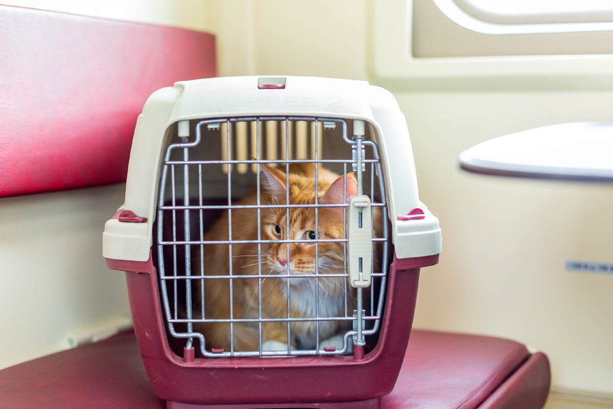 Фотобанк ФПК