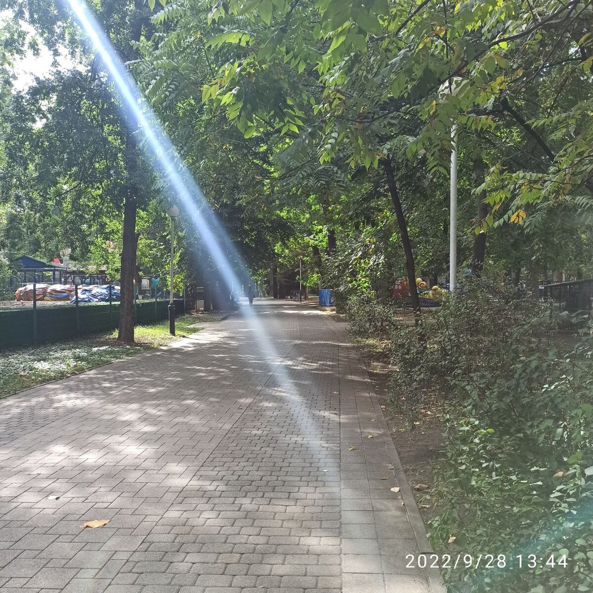 Прогулка по парку
