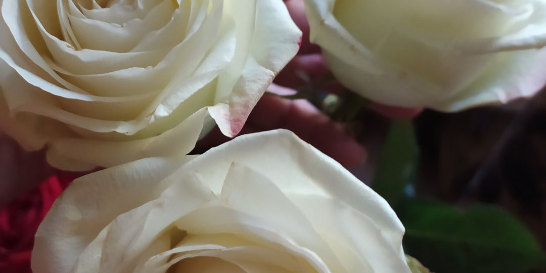 "Бабушка,скажи мне только правду,меня папа совсем не любит?"