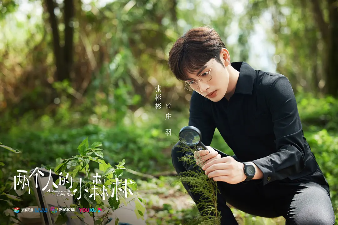 Чжан Бинь Бинь в роли Чжуан Юя в дораме "Роман маленького леса"