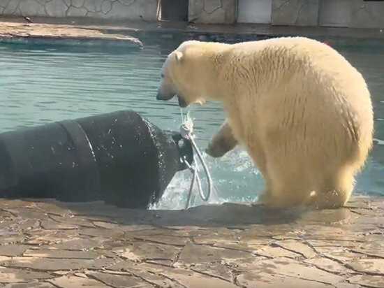     Фото: Ростовский зоопарк