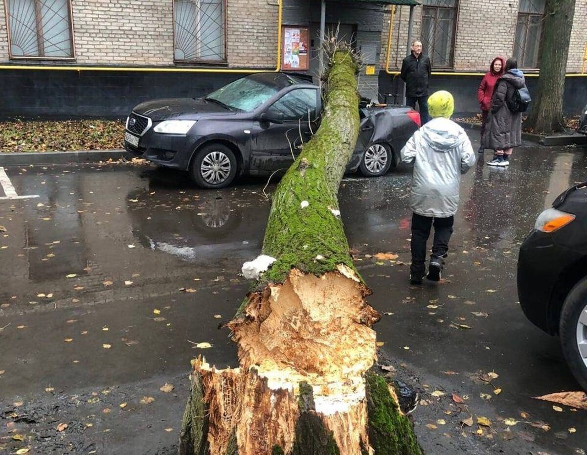 Фото: Евгения Тишковца