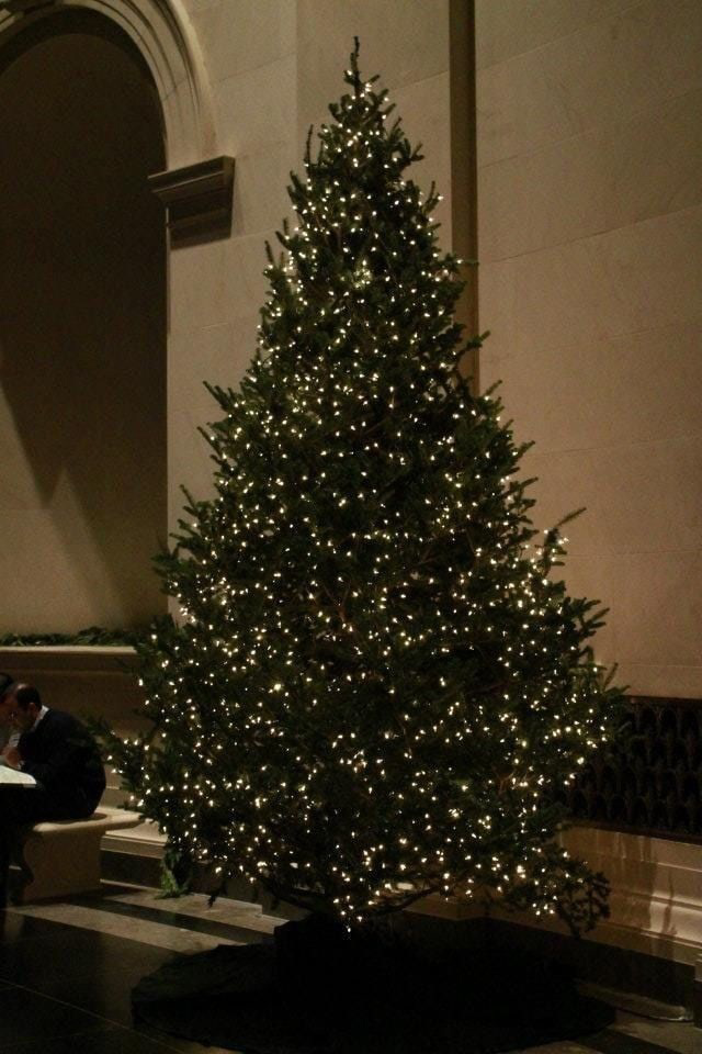 Ель выглядит естественно и в меру торжественно