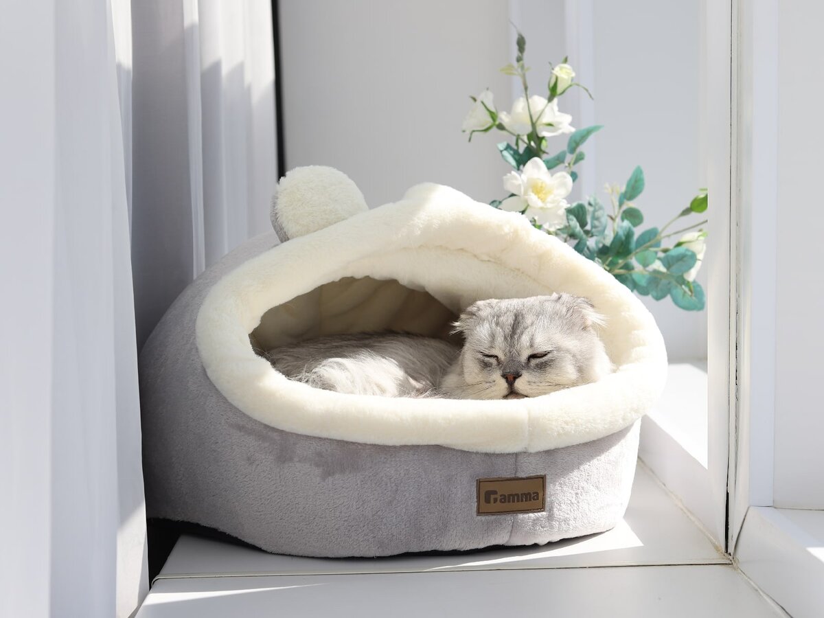 Каждому питомцу вне зависимости от возраста необходимо комфортное спальное место. На фото – уютная лежанка Gamma «Медвежонок» (арт. 31912072).