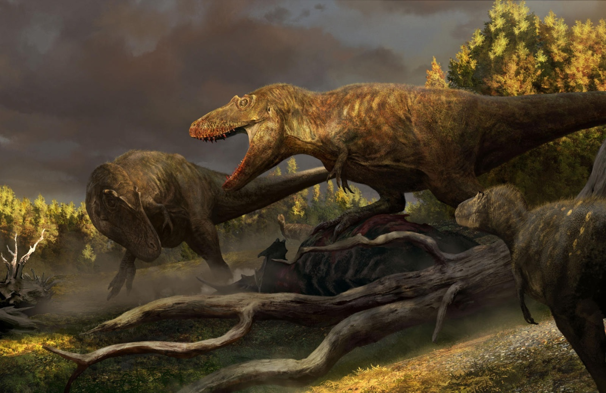 Лёха, ну поясни, почему тираннозавр стал известен, а мы нет? В чём дасплетозавры Уилсона хуже?!