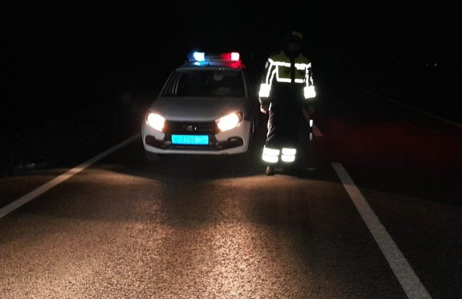    Под Соль-Илецком 53-летнего пешехода сбили сразу два автомобиля, мужчина погиб Елена Шкатова