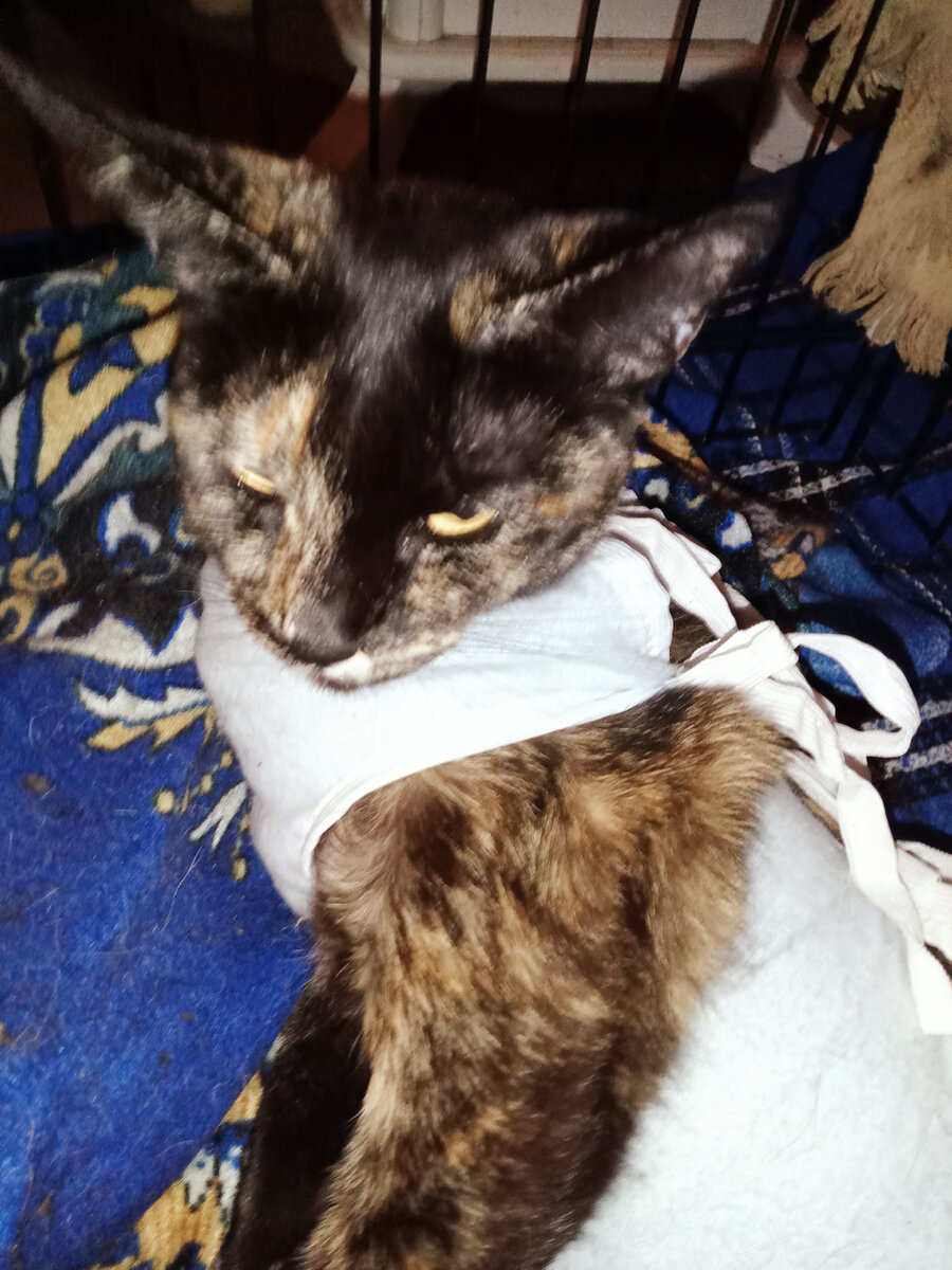 Зайка молимся за тебя.