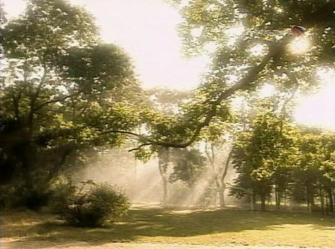 кадр из фильма "Вино из одуванчиков" 1997