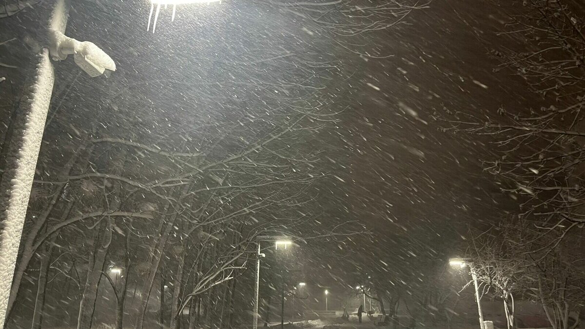     Общественный транспорт не справляется своим ходом во Владивостоке. Жителям города приходится толкать автобусы и едва ли не «тащить» на себе — машины также не справляются с управлением.