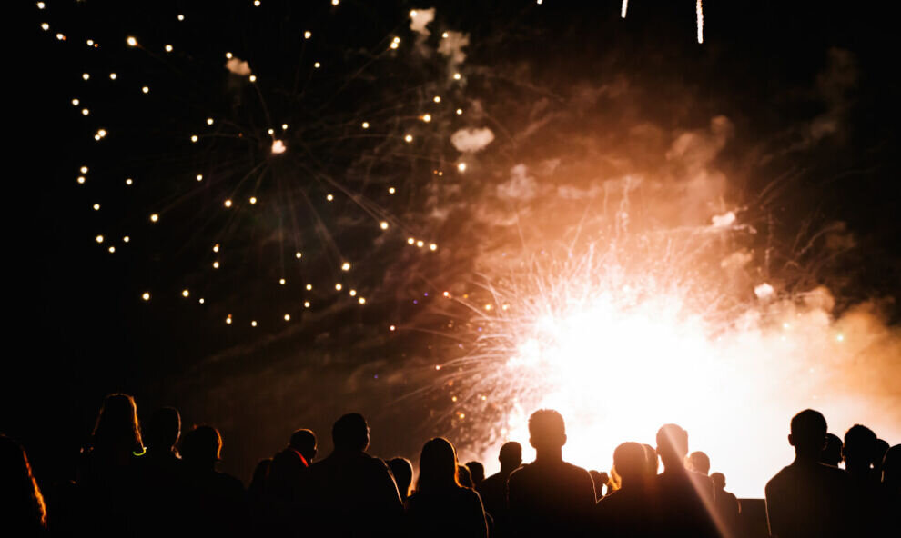    Юрист Кудерко дала совет, как не получить штраф в новогоднюю ночь