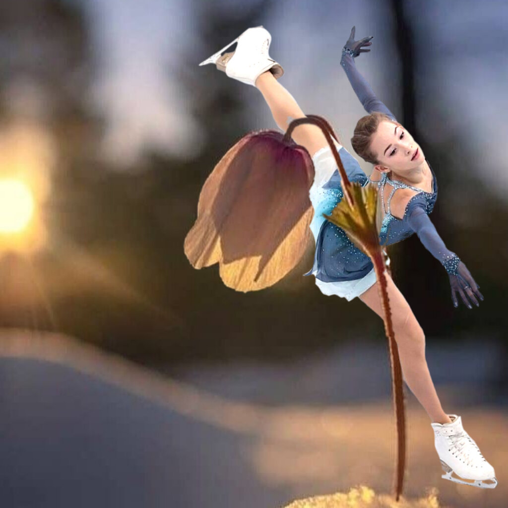 Фотографии из открытых источников 