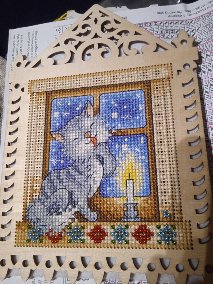 😽 фото автора