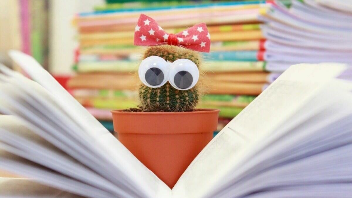     С начала года в силу в Ростовской области вступает ряд новых законов и правил, подробнее о них в материале RostovGazeta.