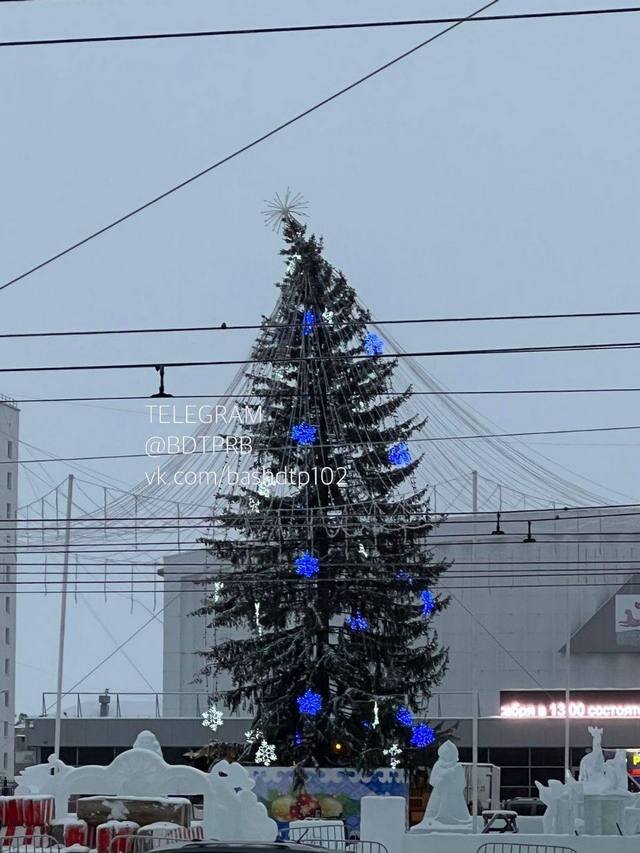    Фото: Телеграм-канал "БашДТП"