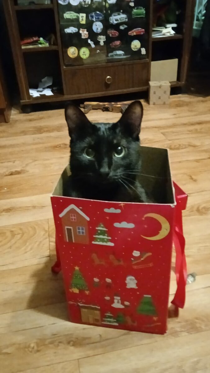 Фотография подписчика.