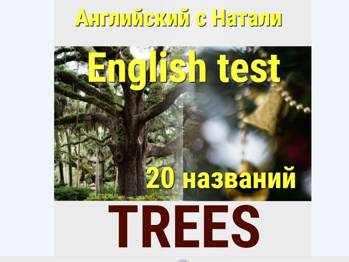 тест по английскому, названия деревьев по-английски