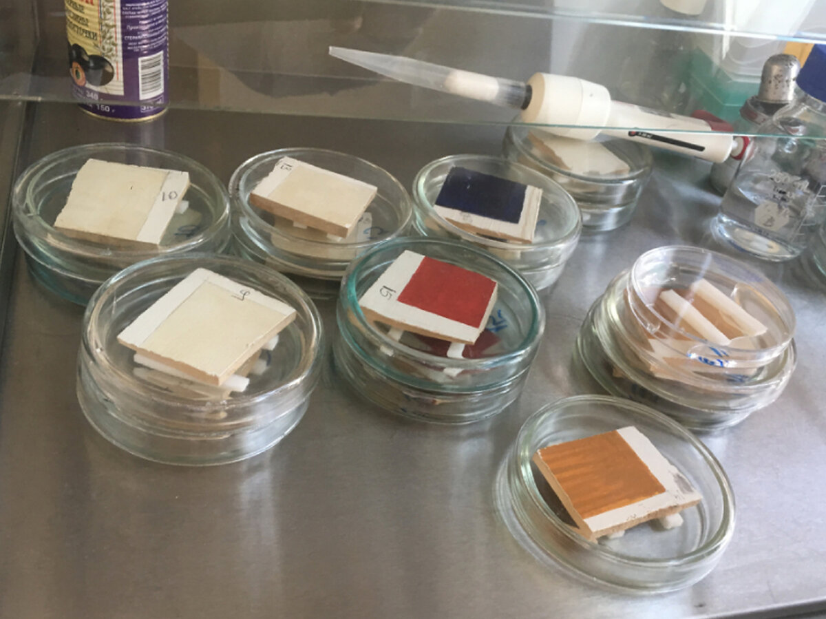     Макеты с особенностями древнерусской живописи, на которых проверяют деструкционное действие микроорганизмов