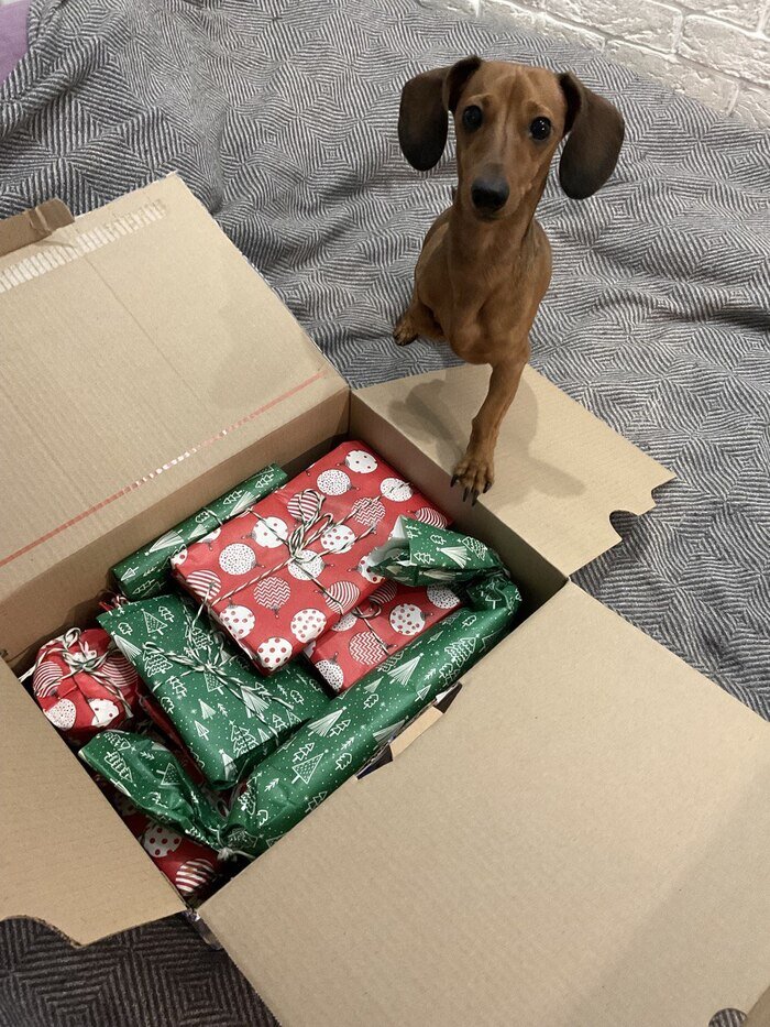 Листайте вправо, чтобы увидеть больше изображений