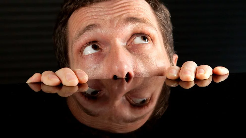 Причины возникновения анатидефобии