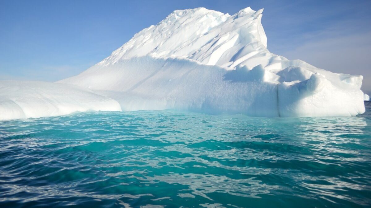 druzhniy-center.ru📷
