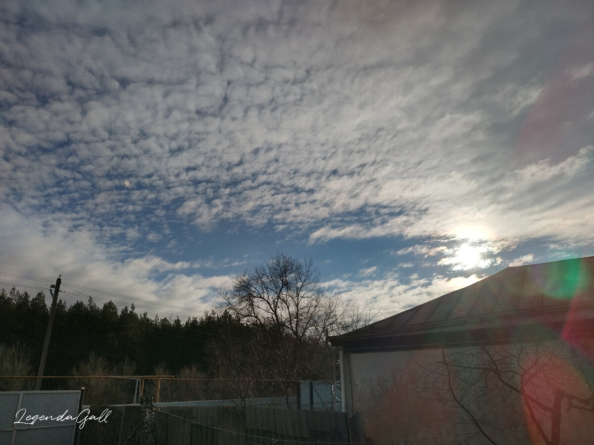 Утро. Солнце.