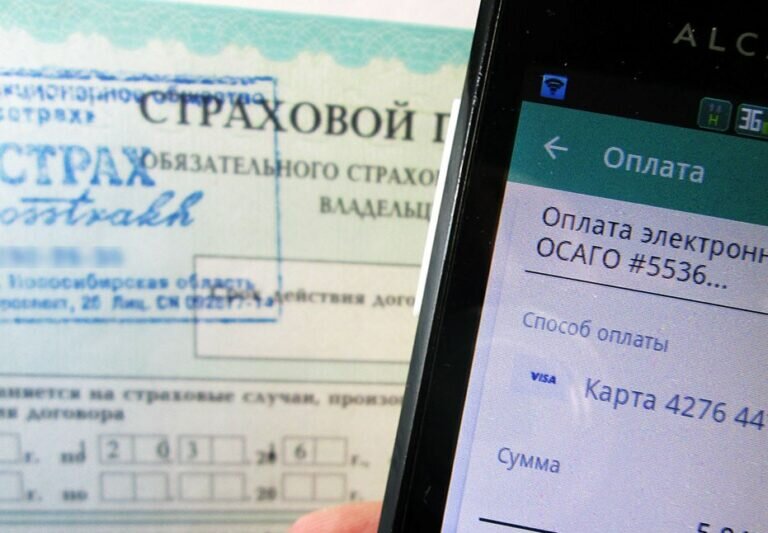    В Оренбуржье страховой агент потерял 60 тысяч рублей при попытке купить страховые полисы Елена Шкатова