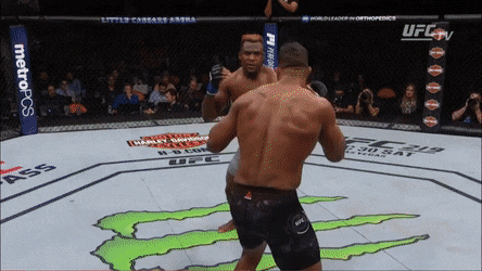 Фрэнсис Нганну нокаутирует Алистара Оверима