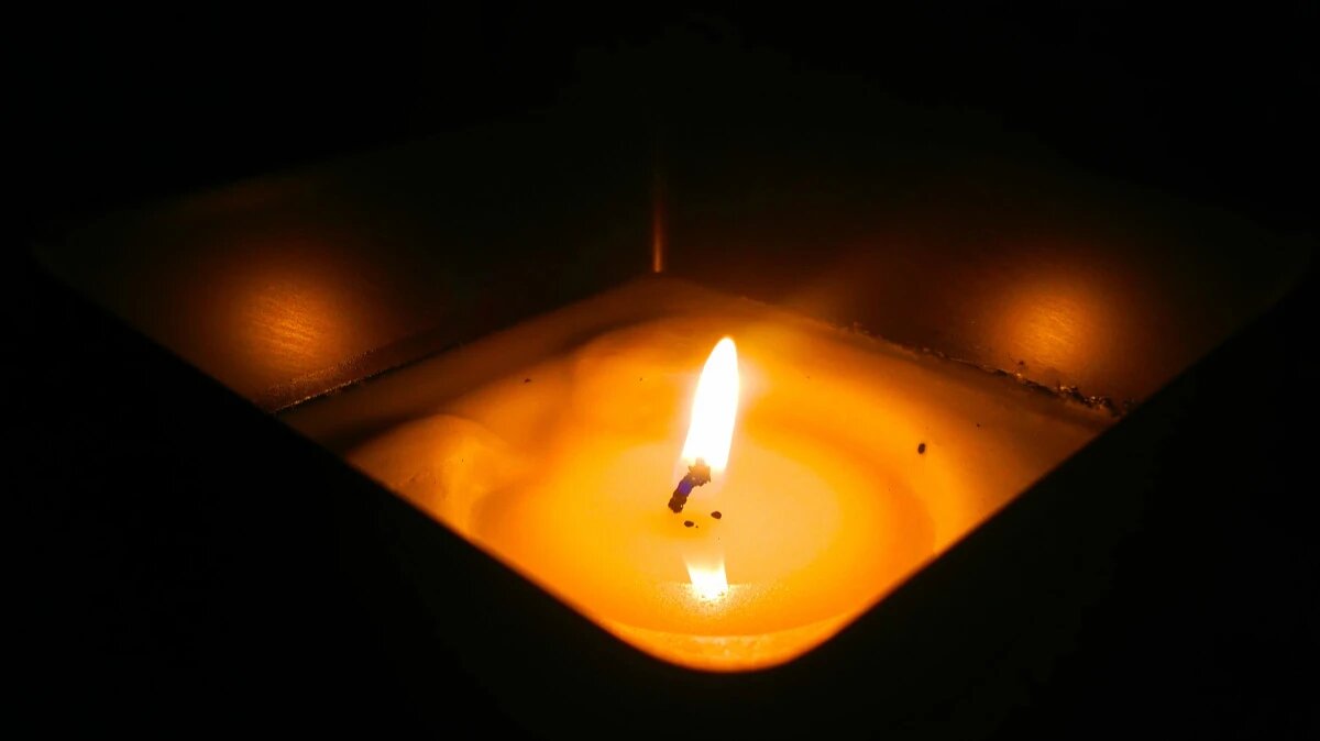 Фото: pxhere.com