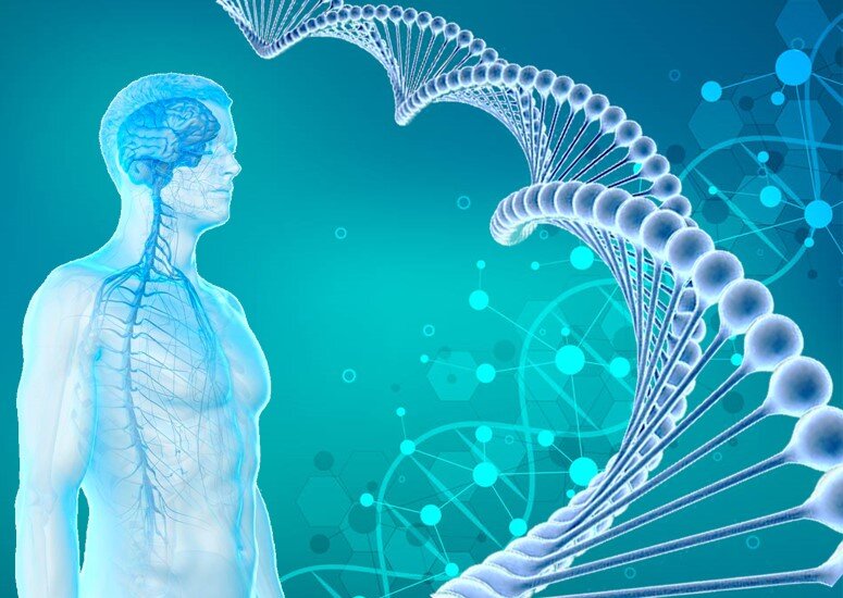 картинка Светлана К.