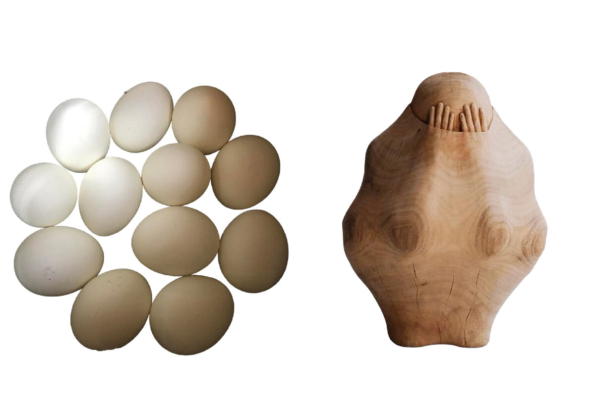 Объект напоминающий яйцо. Я - яйцо в футляре;