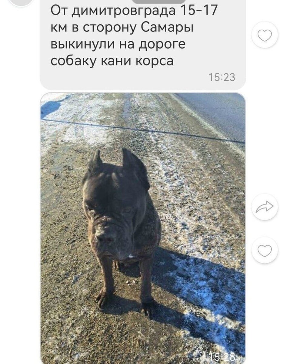 Фото из соцсетей