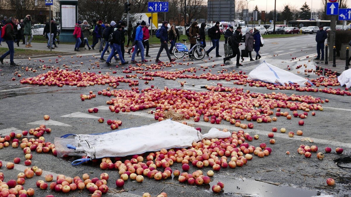 яблоко из польши