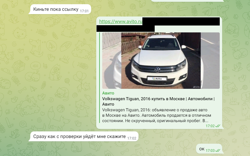 Скриншот переписки в ТГ