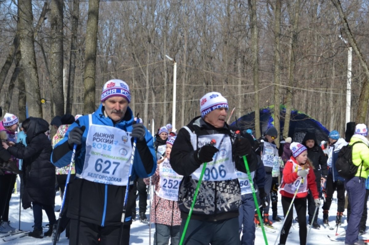    Стало известно место проведения гонки «Лыжня России» в Петербурге