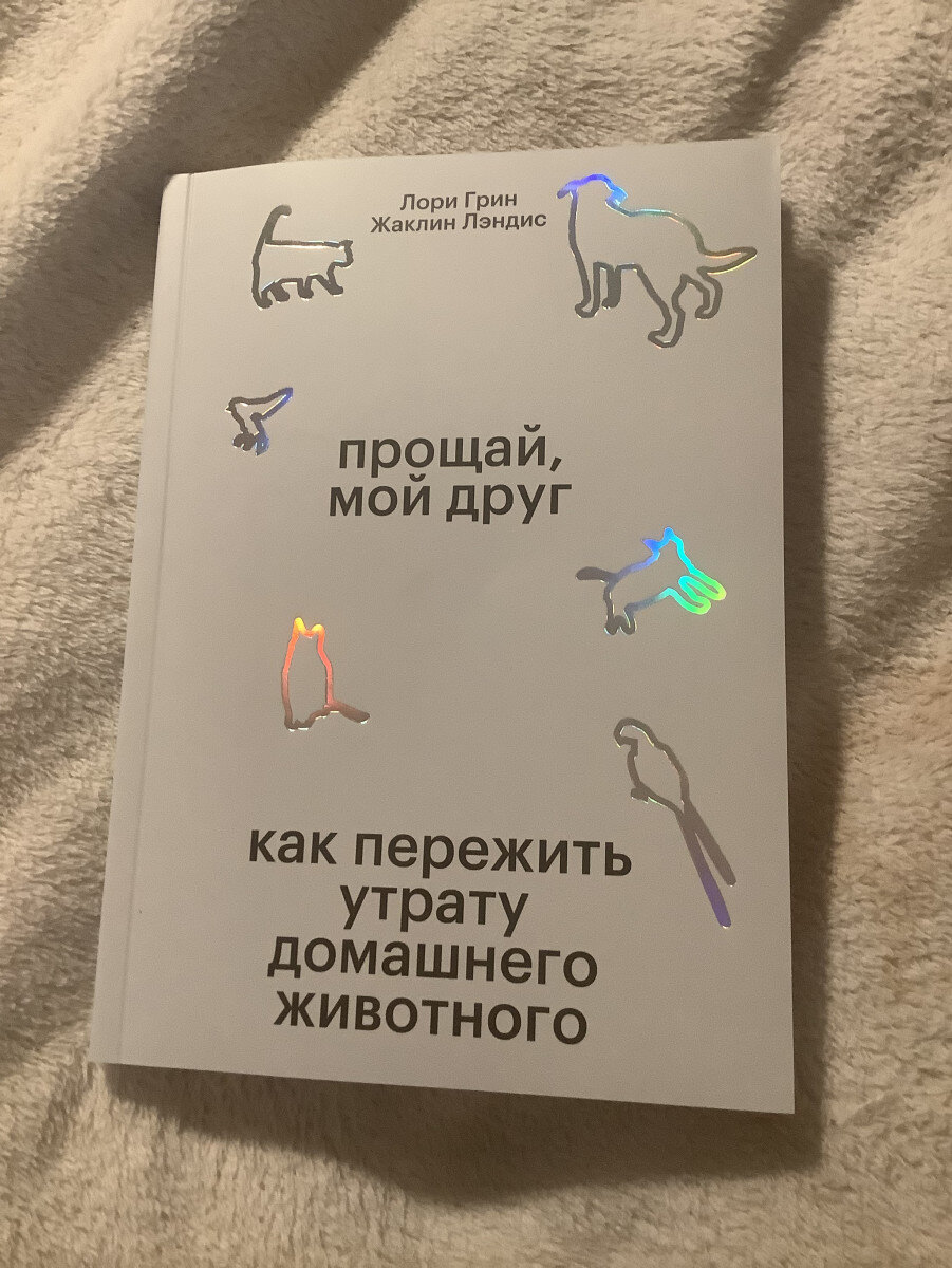 Лорен коэн и ее муж. Лори грин. Хью лори с женой в молодости. Актриса джоанна грин. Lori mrs l.