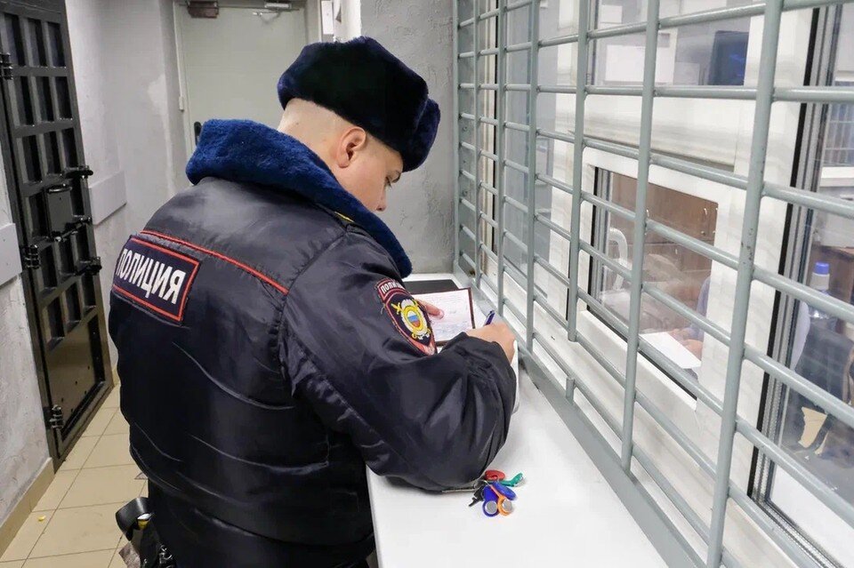     Полиция задержала хозяина питбуля, покусавшего школьницу в Петербурге. Артем КИЛЬКИН (архив)